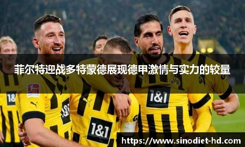 菲尔特迎战多特蒙德展现德甲激情与实力的较量