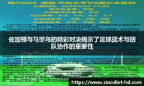 zoty中欧平台
