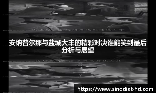 安纳普尔那与盐城大丰的精彩对决谁能笑到最后分析与展望